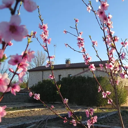 El Molino De Manolo *