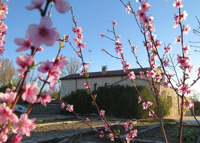 El Molino De Manolo *