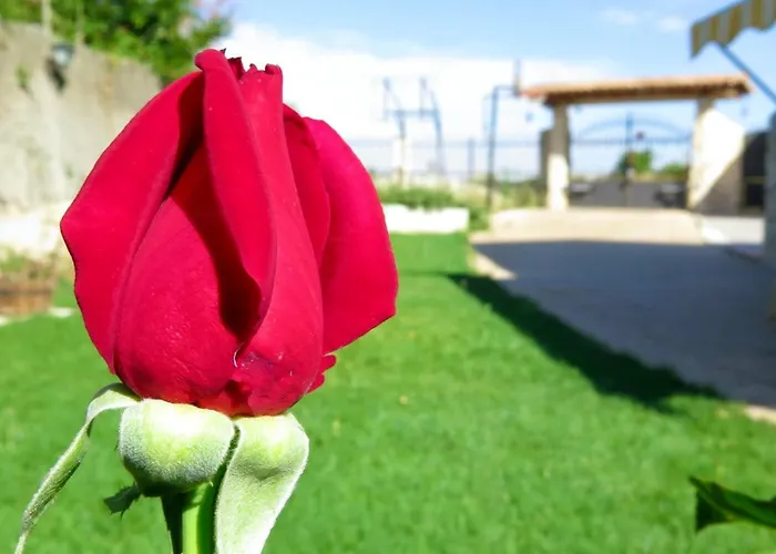 El Molino De Manolo 펜션 *